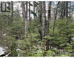Lot 1 and 2 Plan 4632 Route 645, harvey, New Brunswick