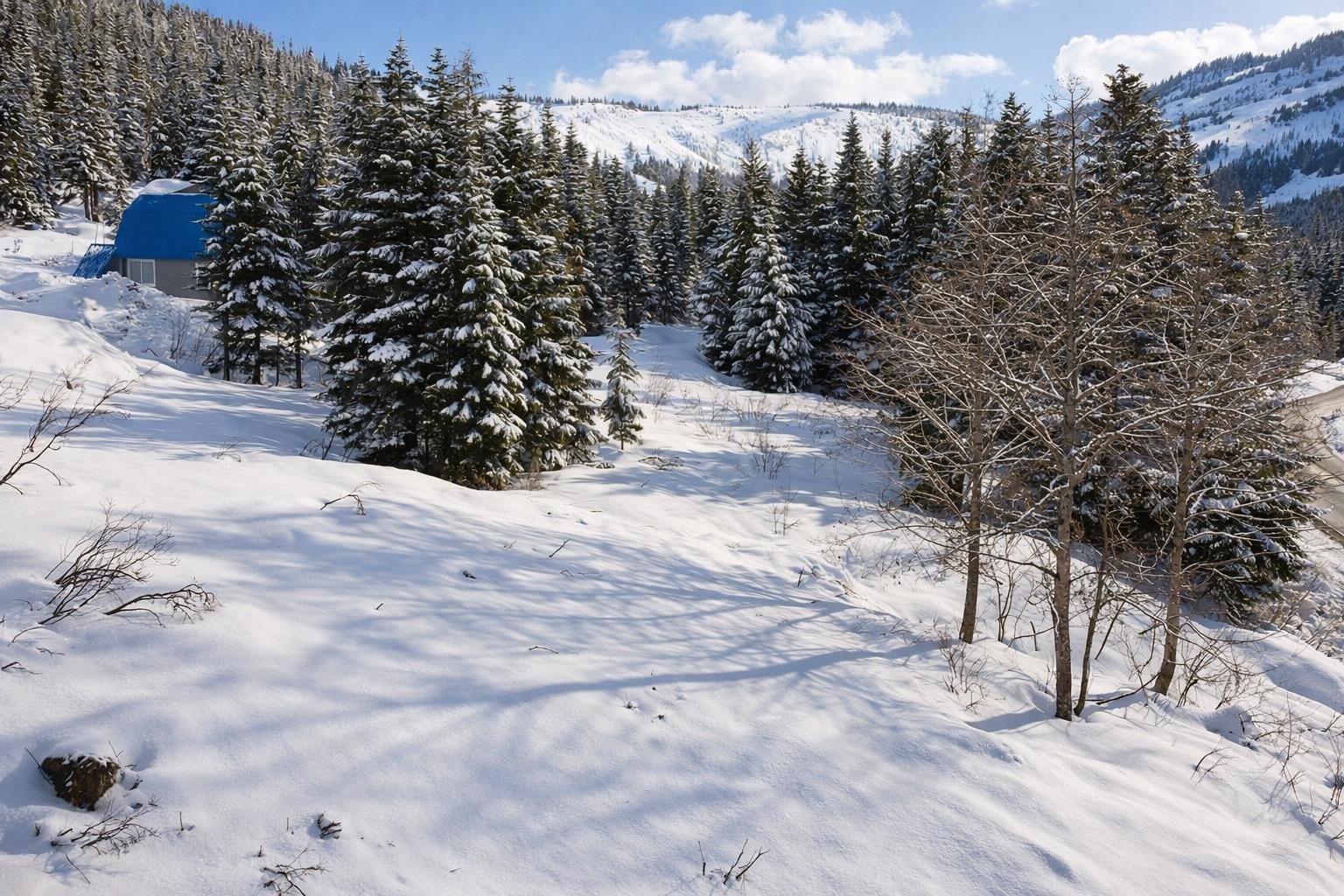 20418 Edelweiss Drive, Agassiz, British Columbia  V0M 1A1 - Photo 1 - R3105161