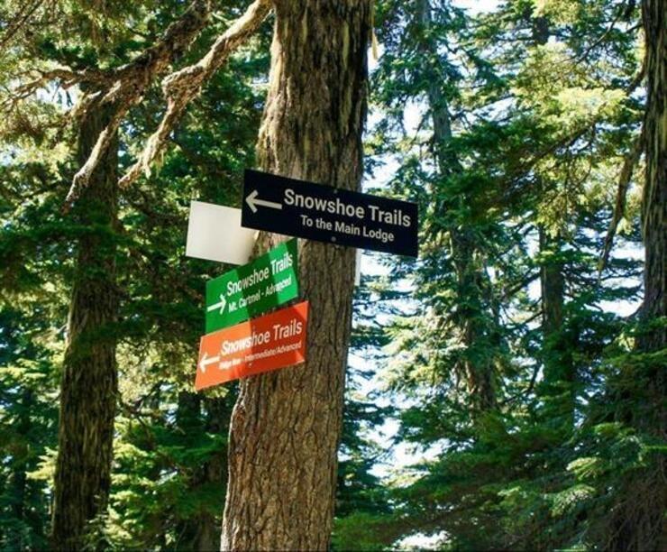 20418 Edelweiss Drive, Agassiz, British Columbia  V0M 1A1 - Photo 28 - R3105161