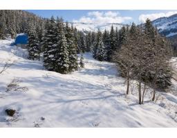 20418 EDELWEISS DRIVE, Agassiz, British Columbia