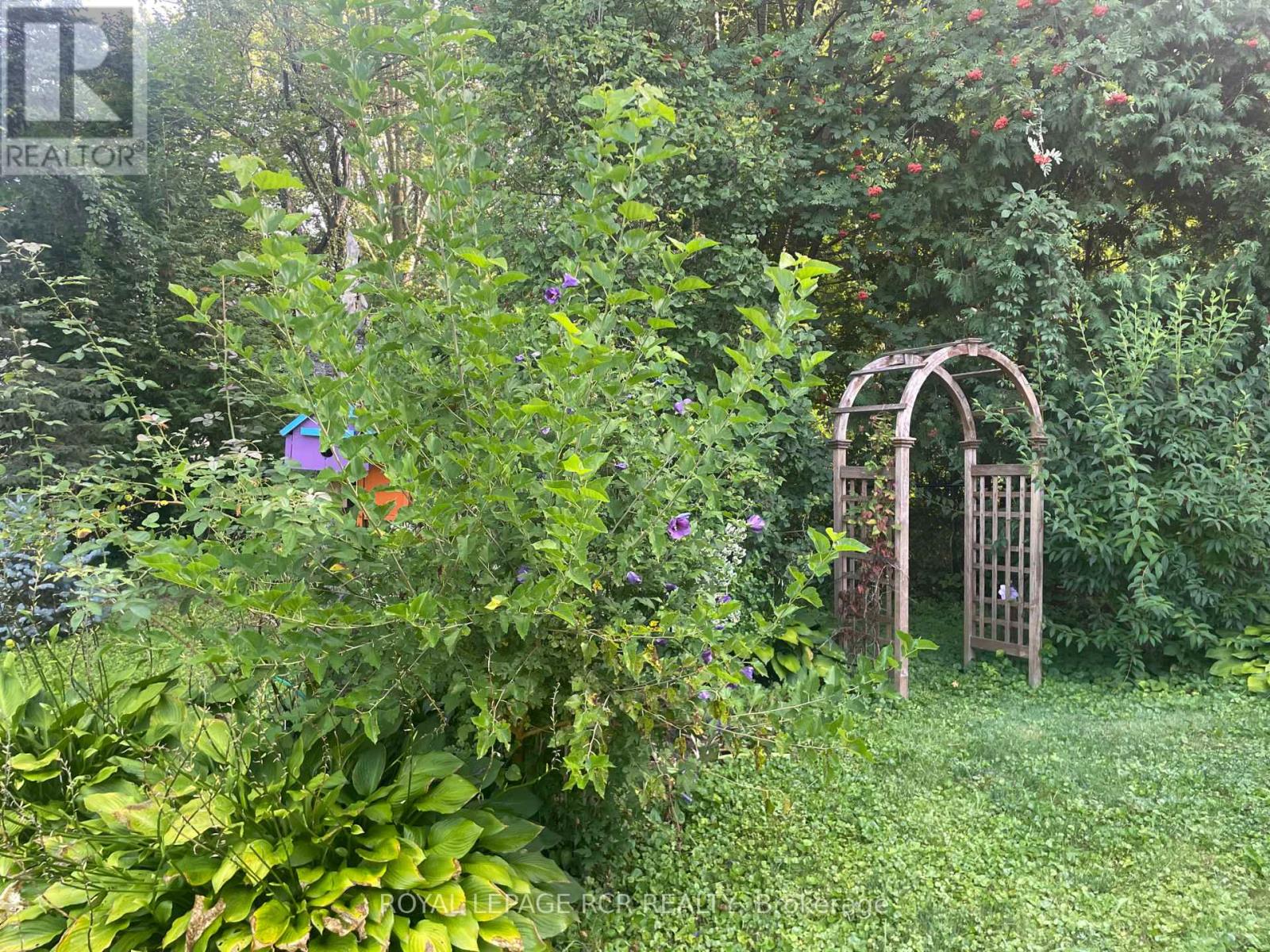 11 Hilltop Drive, Caledon, Ontario  L7C 1K7 - Photo 42 - W12787686