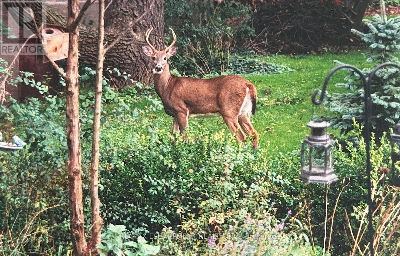 1987 Snake Road, Burlington, Ontario  L7P 4Y1 - Photo 3 - W12929810