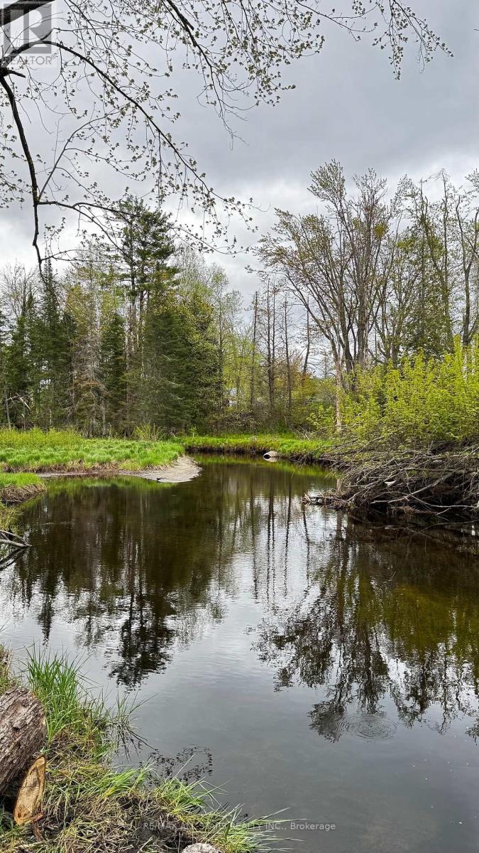 2348 NORTHEY'S BAY ROAD, North Kawartha, Ontario