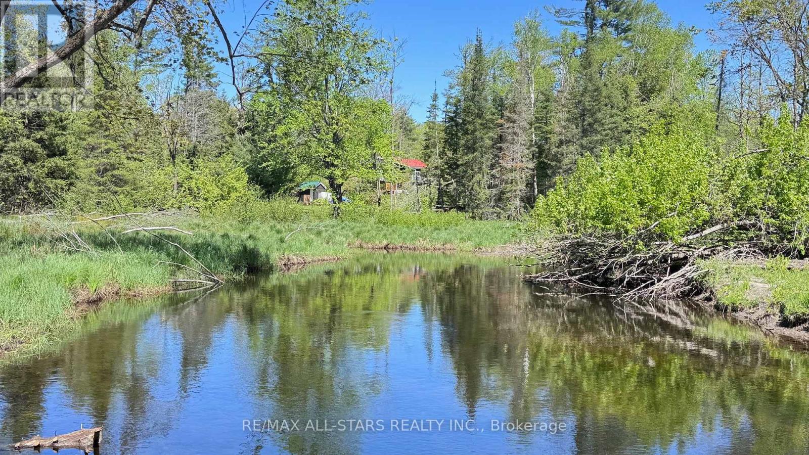 2348 Northey's Bay Road, North Kawartha, Ontario  K0L 2H0 - Photo 2 - X12940998