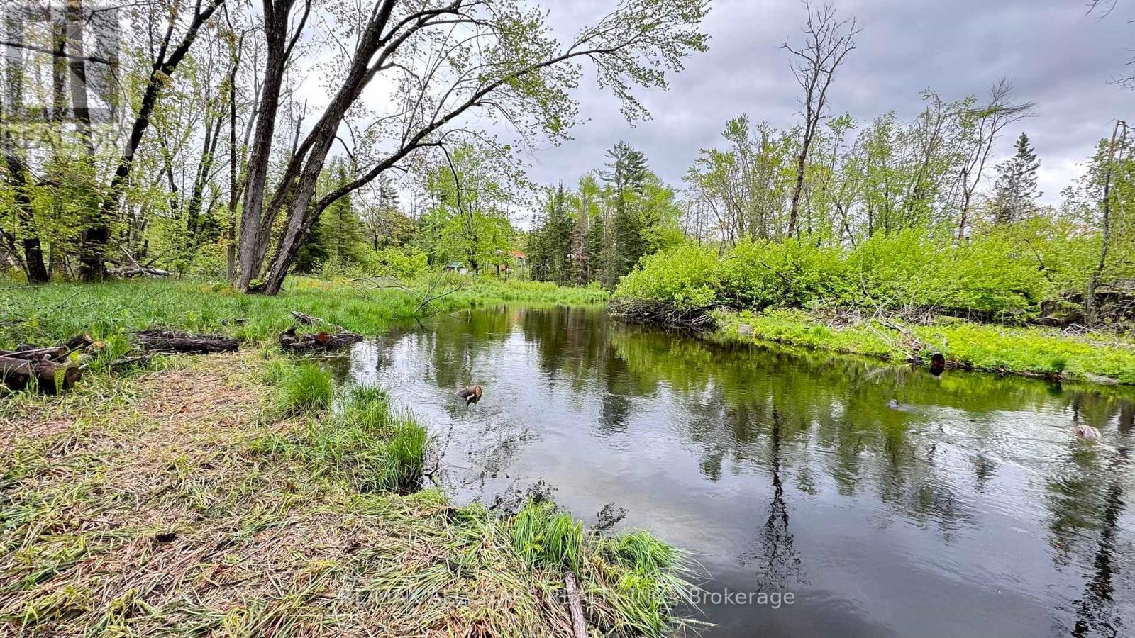 2348 Northey's Bay Road, North Kawartha, Ontario  K0L 2H0 - Photo 3 - X12940998