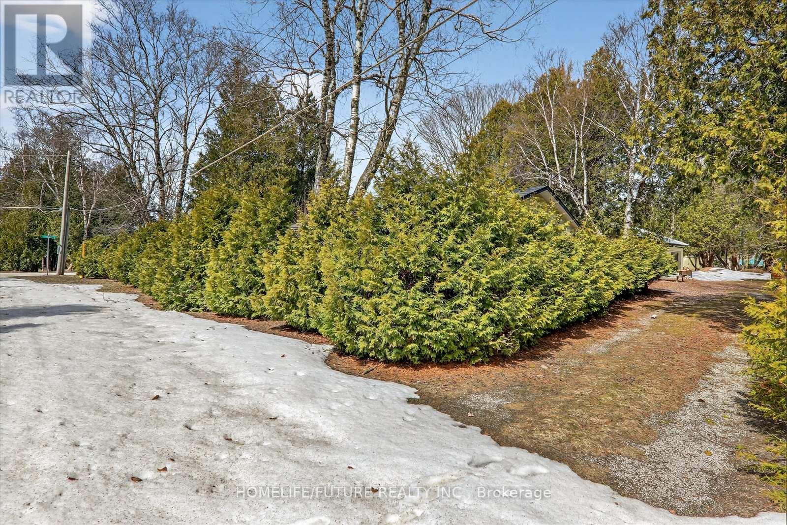 603 Third Avenue N, South Bruce Peninsula, Ontario  N0H 2G0 - Photo 37 - X12941172