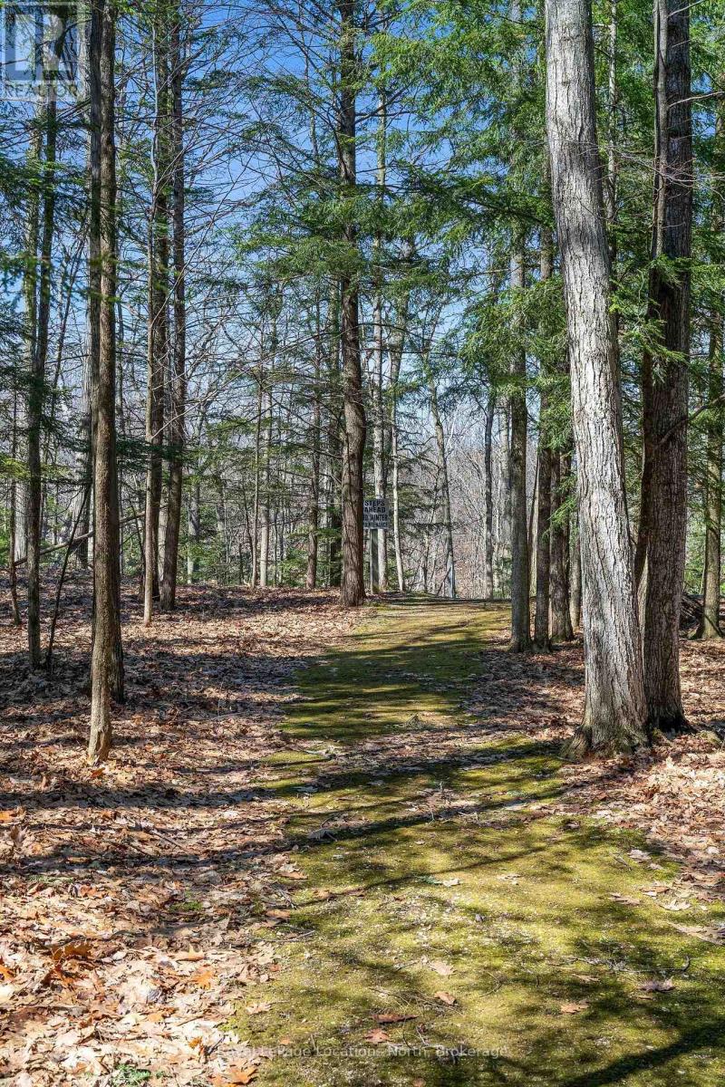 130 Cortina Crescent, Blue Mountains, Ontario L9Y 0S9 - Photo 8 - X12941290