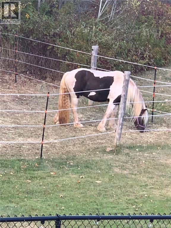 3181 Route 114, Edgetts Landing, New Brunswick  E4H 2E8 - Photo 44 - NB135767