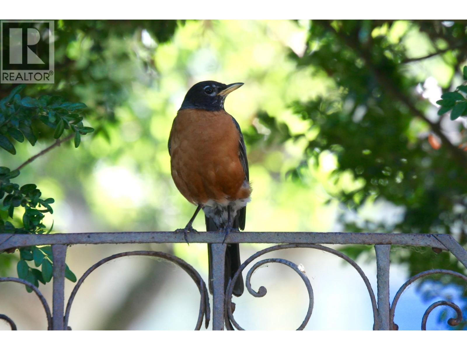 217 Ninth Street, New Westminster, British Columbia  V3M 3V4 - Photo 38 - R3105475