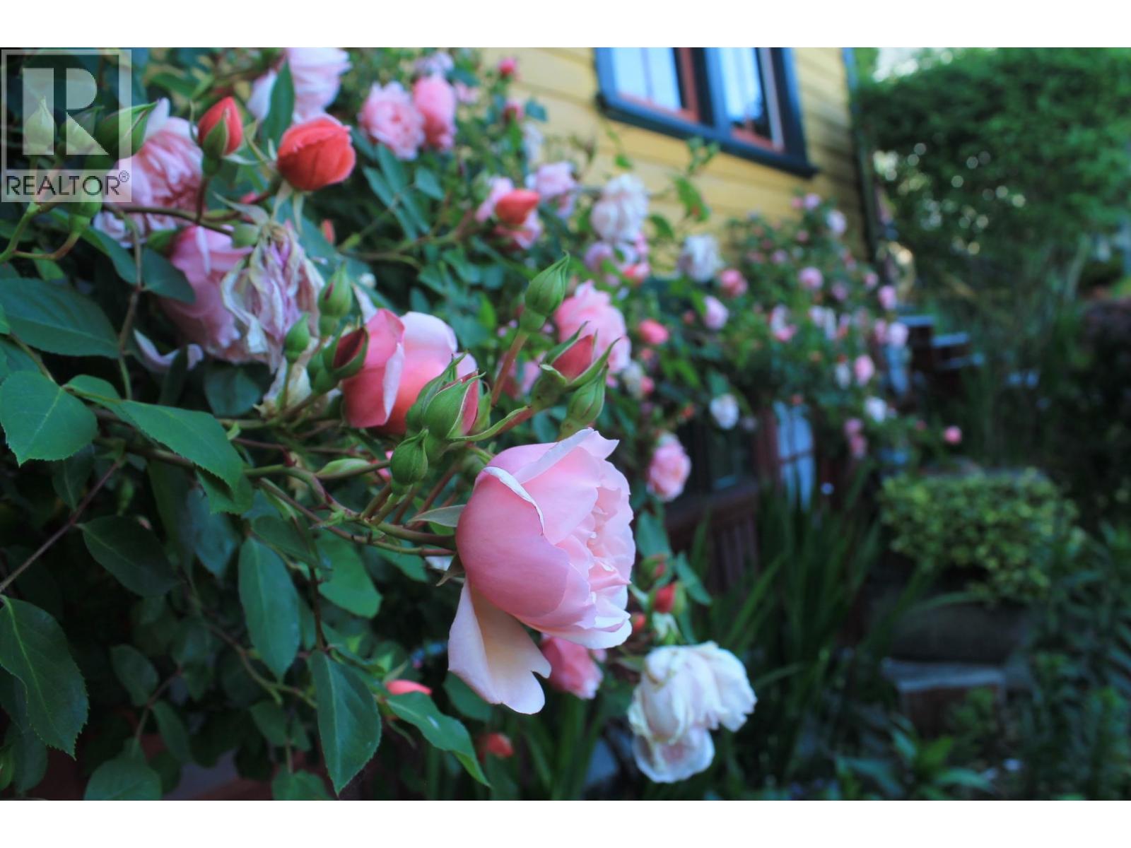 217 Ninth Street, New Westminster, British Columbia  V3M 3V4 - Photo 39 - R3105475