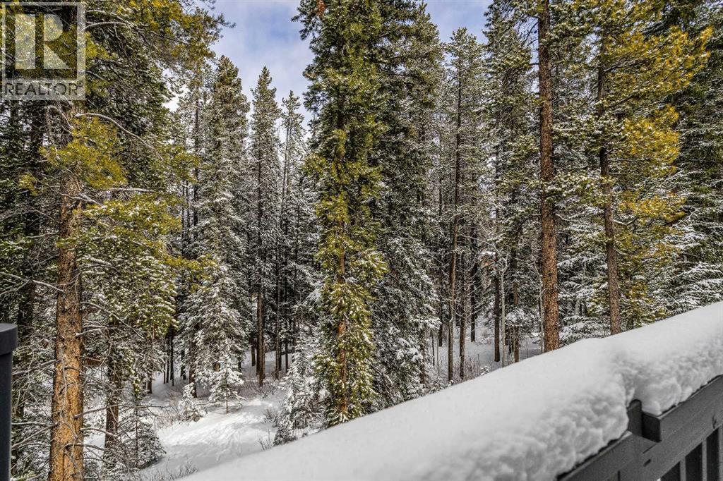 1112 Wilson Way, Canmore, Alberta  T1W 3C4 - Photo 32 - A2297442