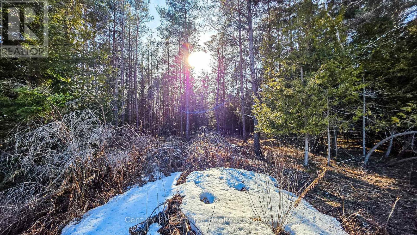 6382 Fifth Line, Centre Wellington, Ontario N1M 2W5 - Photo 5 - X12938514