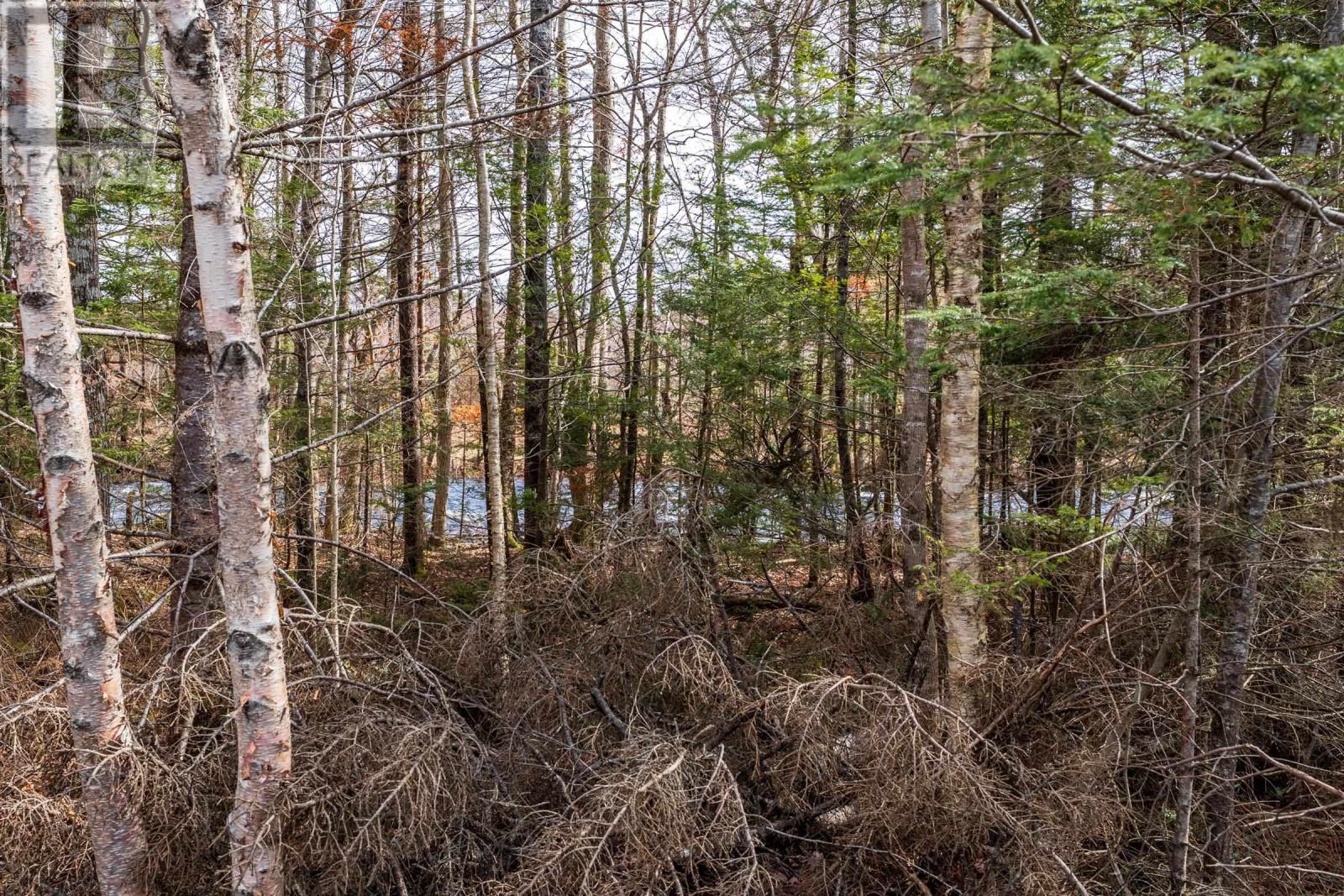 Lot Cja Road, Concession, Nova Scotia  B0W 1M0 - Photo 7 - 202605206