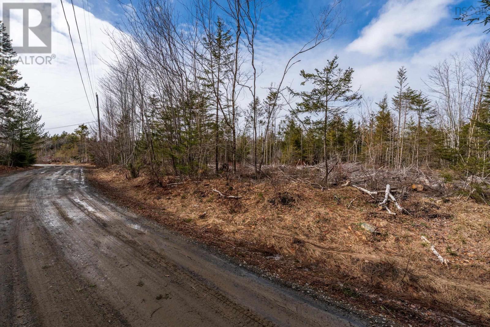 Lot Cja Road, Concession, Nova Scotia  B0W 1M0 - Photo 5 - 202605206