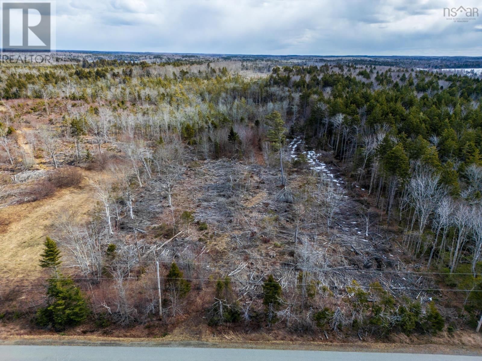 Lot Second Division Road, Concession, Nova Scotia  B0W 1M0 - Photo 11 - 202605233