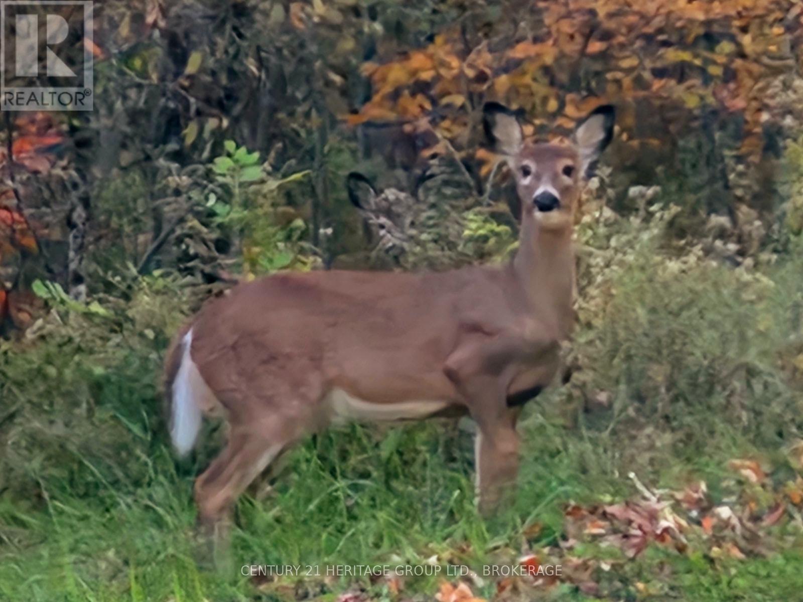 51a Thompson Lane, Rideau Lakes, Ontario  K0G 1P0 - Photo 13 - X12941244