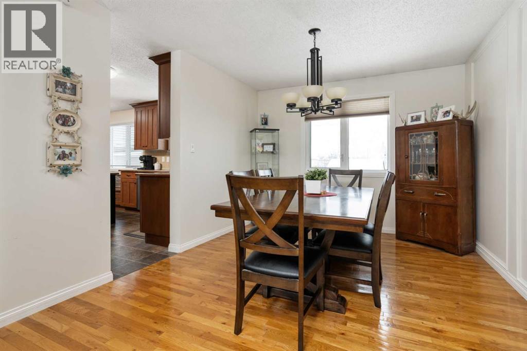 5410 47 Avenue W, Forestburg, Alberta  T0B 1N0 - Photo 5 - A2297400