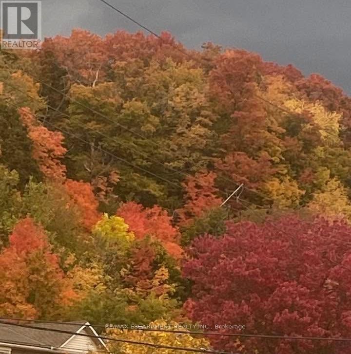 199 Kimberly Drive, Hamilton, Ontario  L8K 4L2 - Photo 47 - X12539602