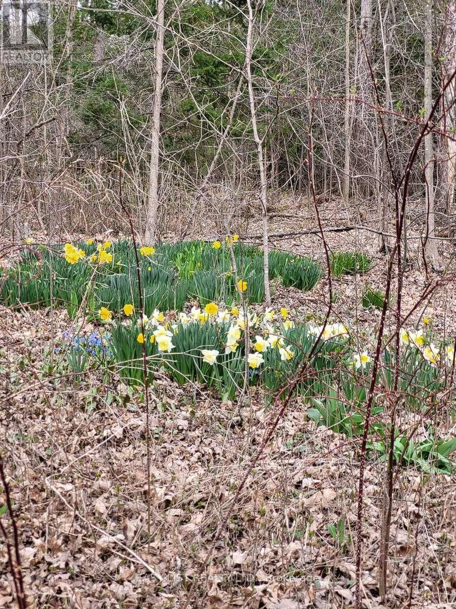 3224 County Road 27, Elizabethtown-Kitley, Ontario  K0E 1M0 - Photo 48 - X12479312