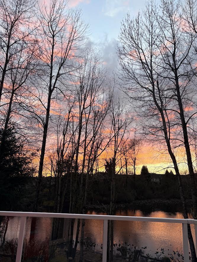 8 31501 Upper Maclure Road, Abbotsford, British Columbia  V2T 5S6 - Photo 38 - R3104286