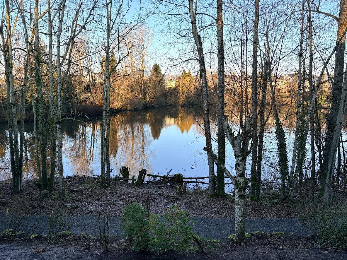 8 31501 UPPER MACLURE ROAD, Abbotsford, British Columbia