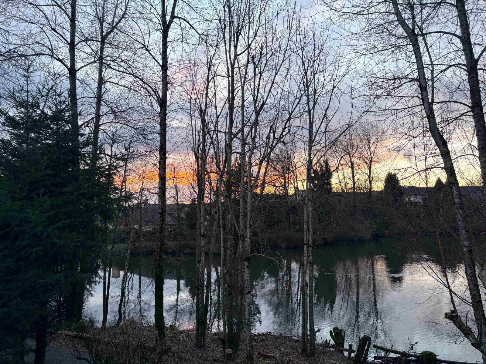 8 31501 Upper Maclure Road, Abbotsford, British Columbia  V2T 5S6 - Photo 37 - R3104286