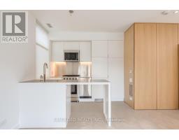 LANEWAY - 429 BROCK AVENUE, Toronto, Ontario