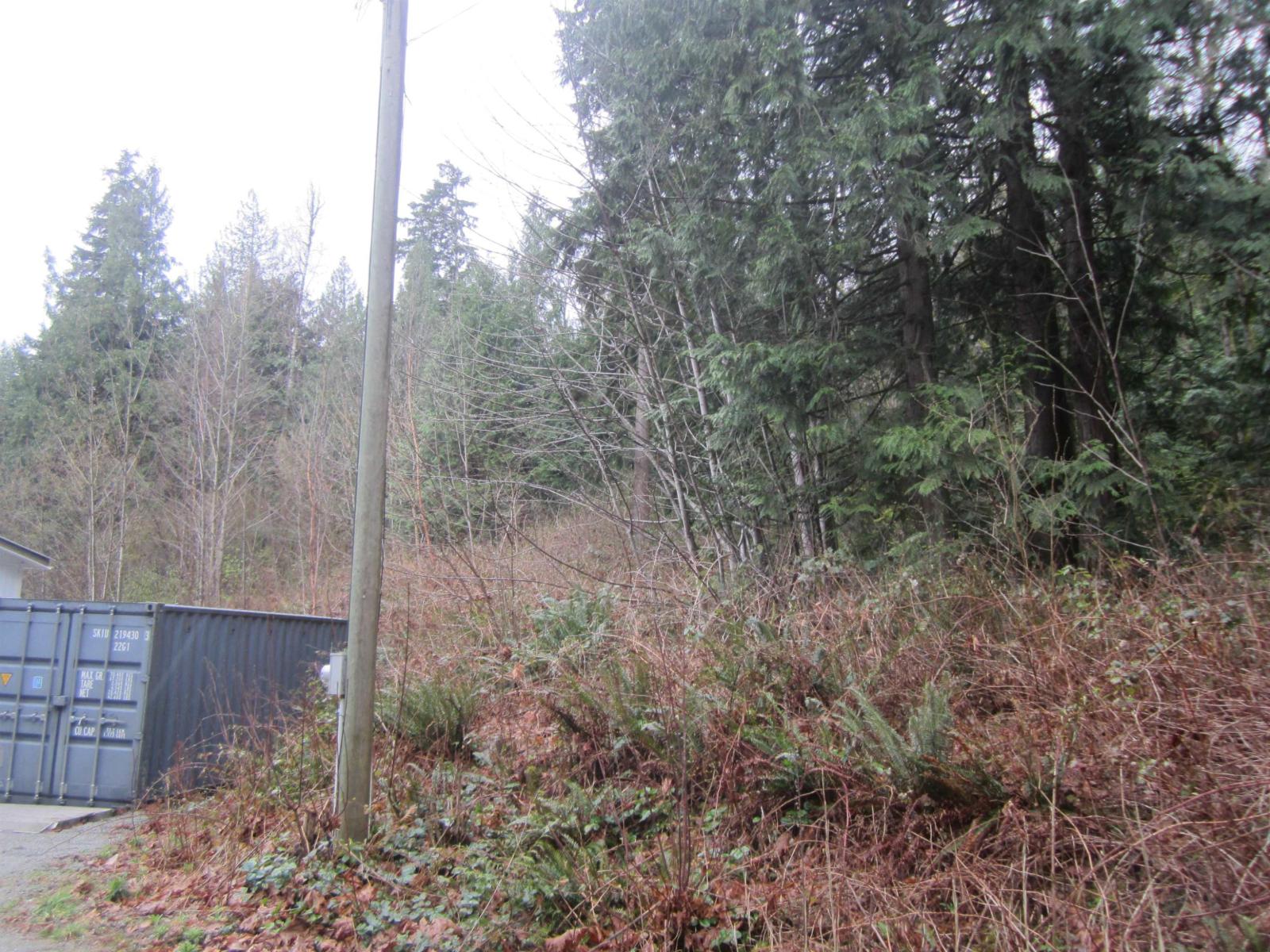 11121 Barnes Road, Mission, British Columbia  V0M 1G0 - Photo 13 - R3074795