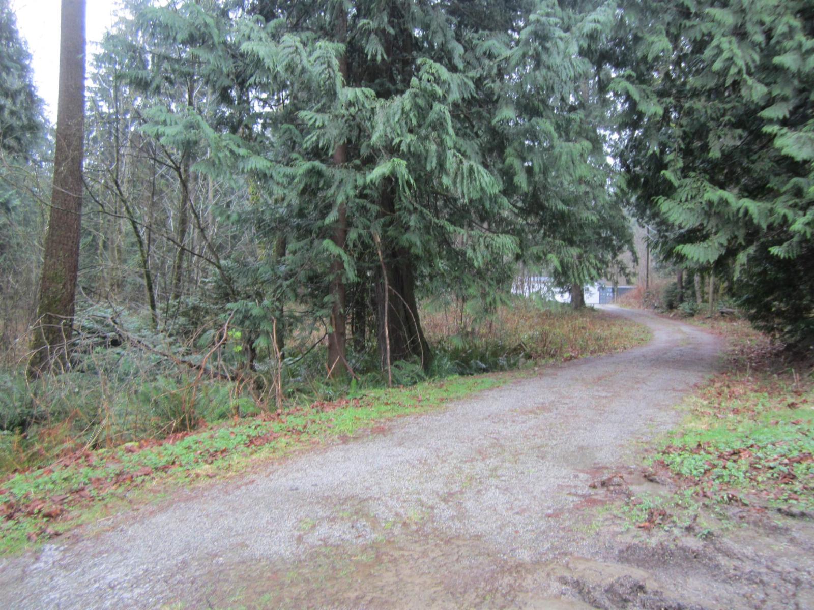 11121 Barnes Road, Mission, British Columbia  V0M 1G0 - Photo 16 - R3074795