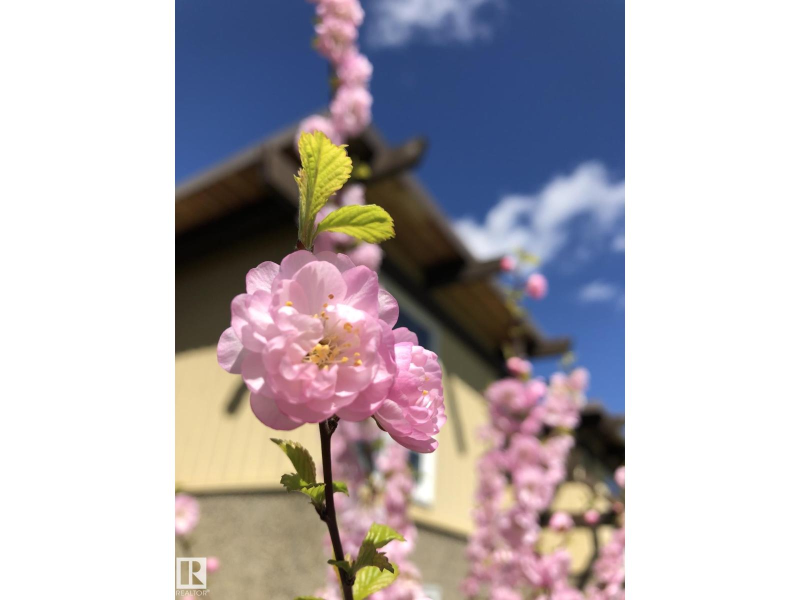 14622 118 Street Nw, Edmonton, Alberta  T5X 2J4 - Photo 36 - E4479924