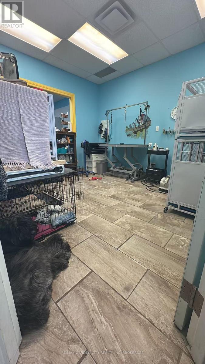 4 - 595 Carlton Street, St. Catharines, Ontario  L2M 4Y2 - Photo 15 - X12941576