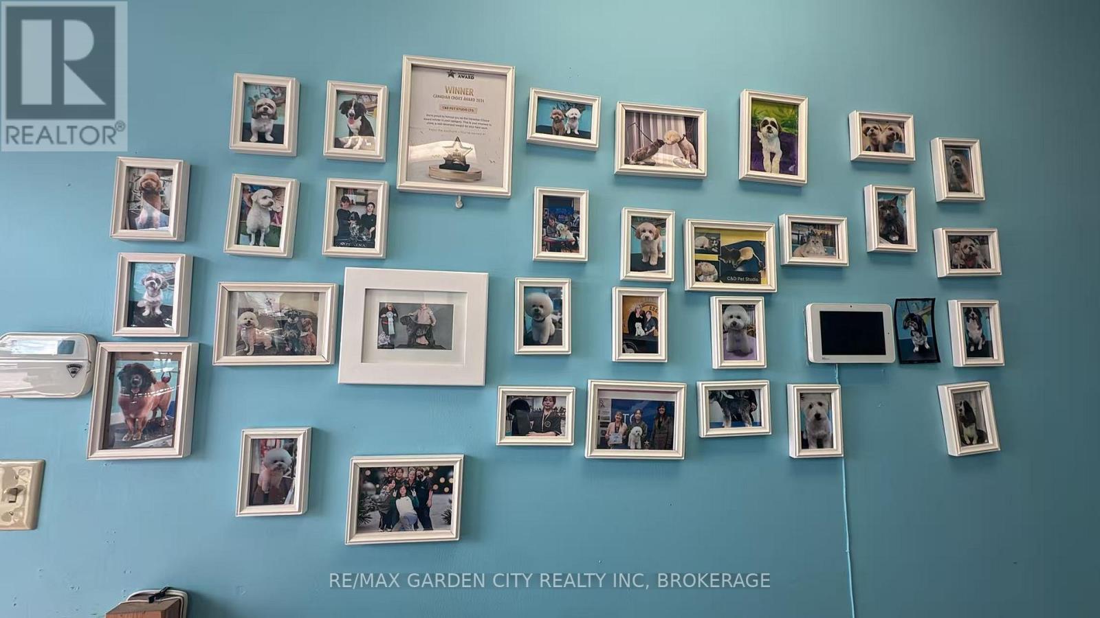 4 - 595 Carlton Street, St. Catharines, Ontario  L2M 4Y2 - Photo 20 - X12941576