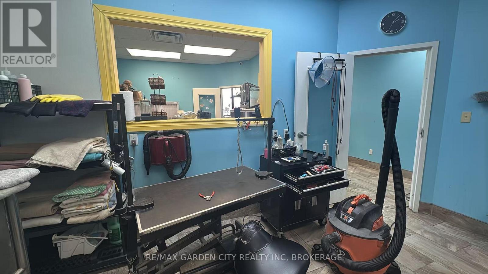 4 - 595 Carlton Street, St. Catharines, Ontario  L2M 4Y2 - Photo 3 - X12941576