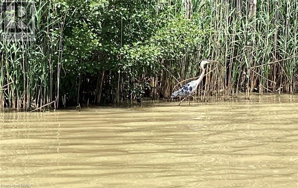 Photo 32 of 32 for 3302 Colin Street