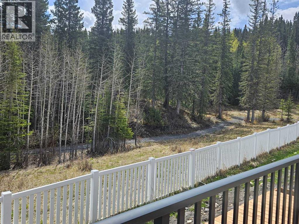 351 Elizabeth Avenue, Nordegg, Alberta  T0M 2H0 - Photo 48 - A2284009