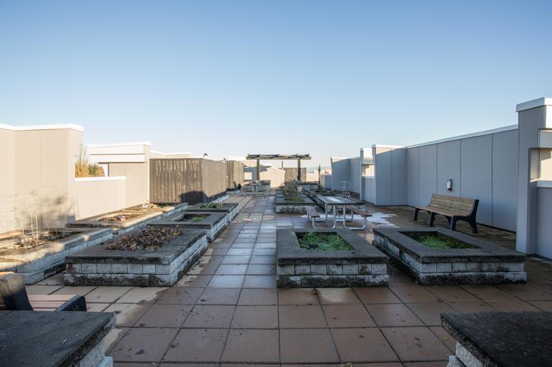 203 20826 72 Avenue, Langley, British Columbia  V2Y 0Z9 - Photo 27 - R3105025