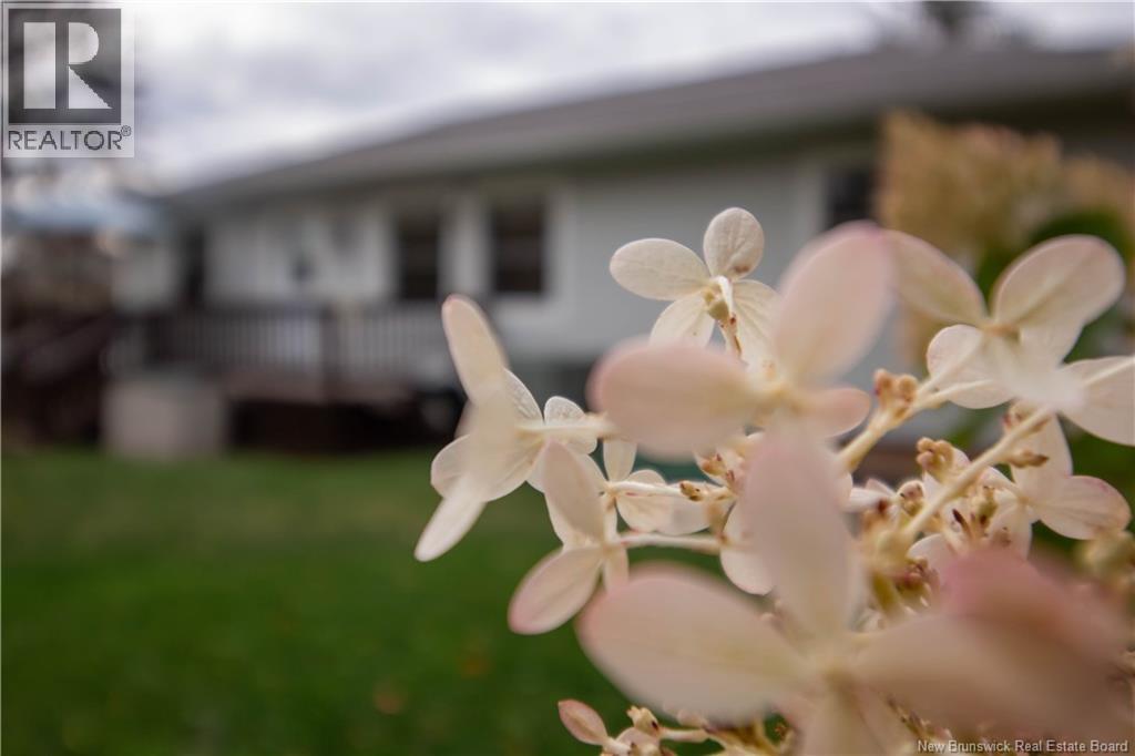 27 Maxwell Drive, Sussex, New Brunswick  E4E 2E1 - Photo 24 - NB134509