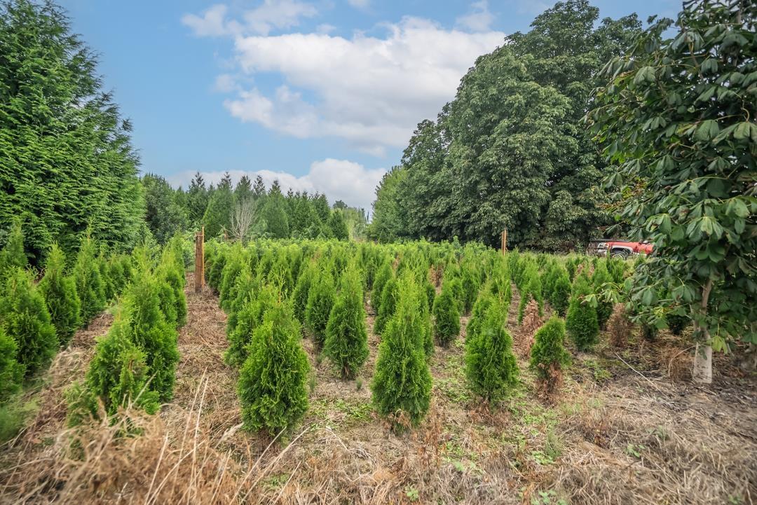 6655 Beharrell Road, Abbotsford, British Columbia  V3G 1P1 - Photo 20 - R3105218