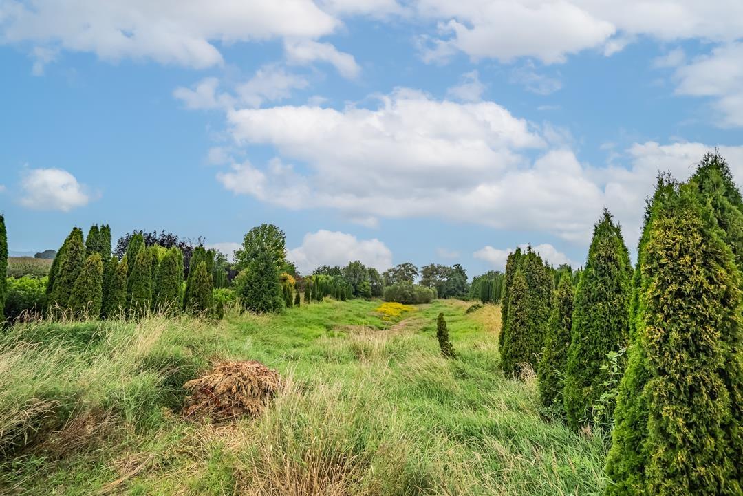 6655 Beharrell Road, Abbotsford, British Columbia  V3G 1P1 - Photo 21 - R3105218