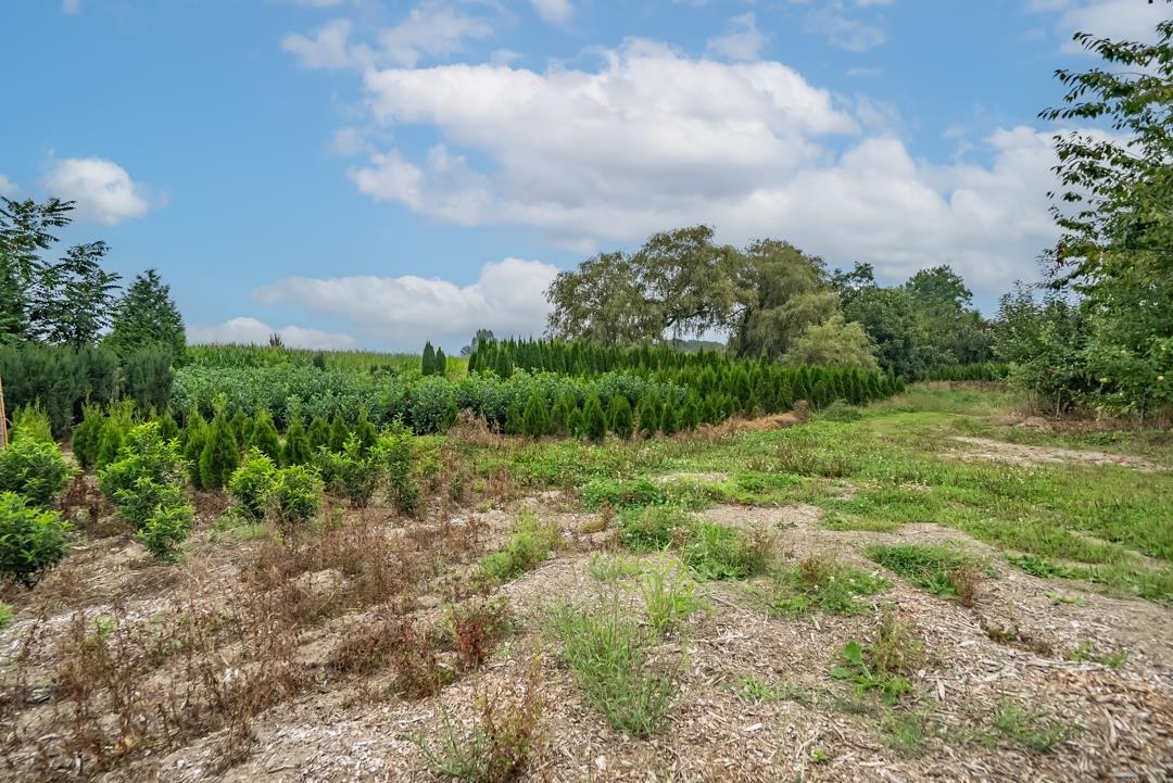 6655 Beharrell Road, Abbotsford, British Columbia  V3G 1P1 - Photo 22 - R3105218