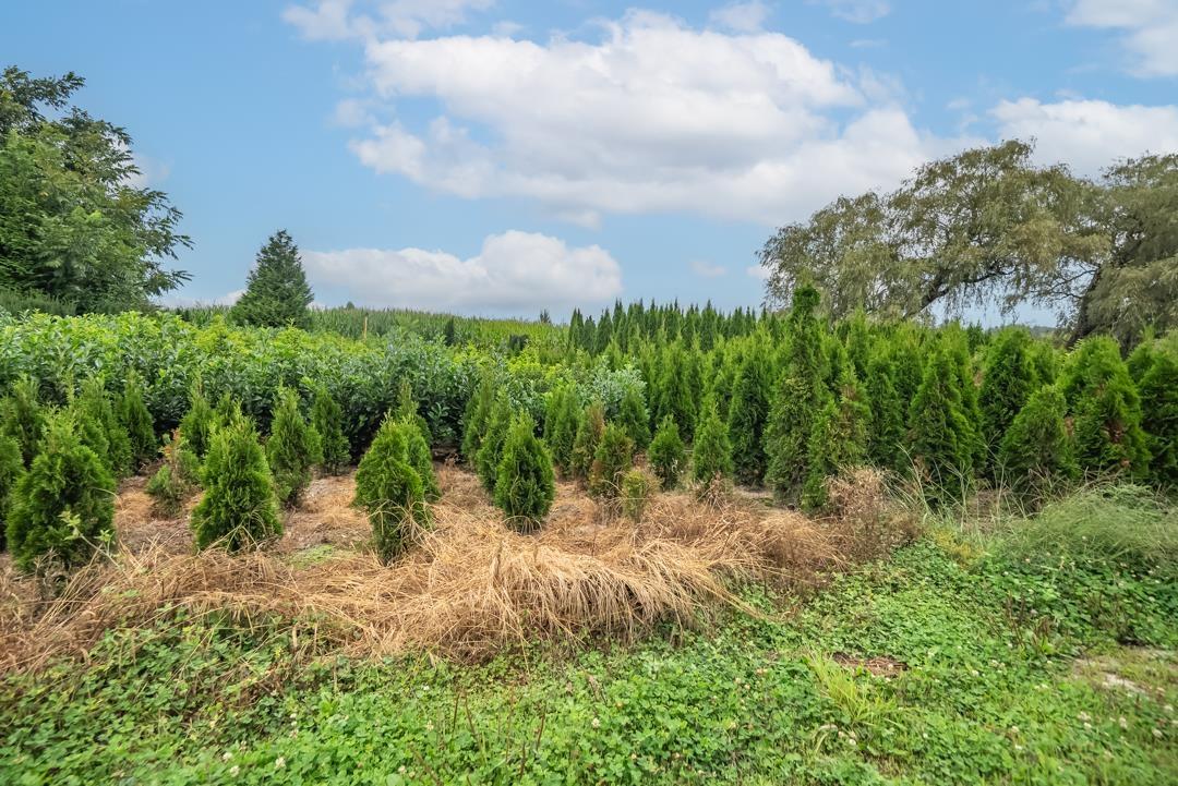 6655 Beharrell Road, Abbotsford, British Columbia  V3G 1P1 - Photo 23 - R3105218