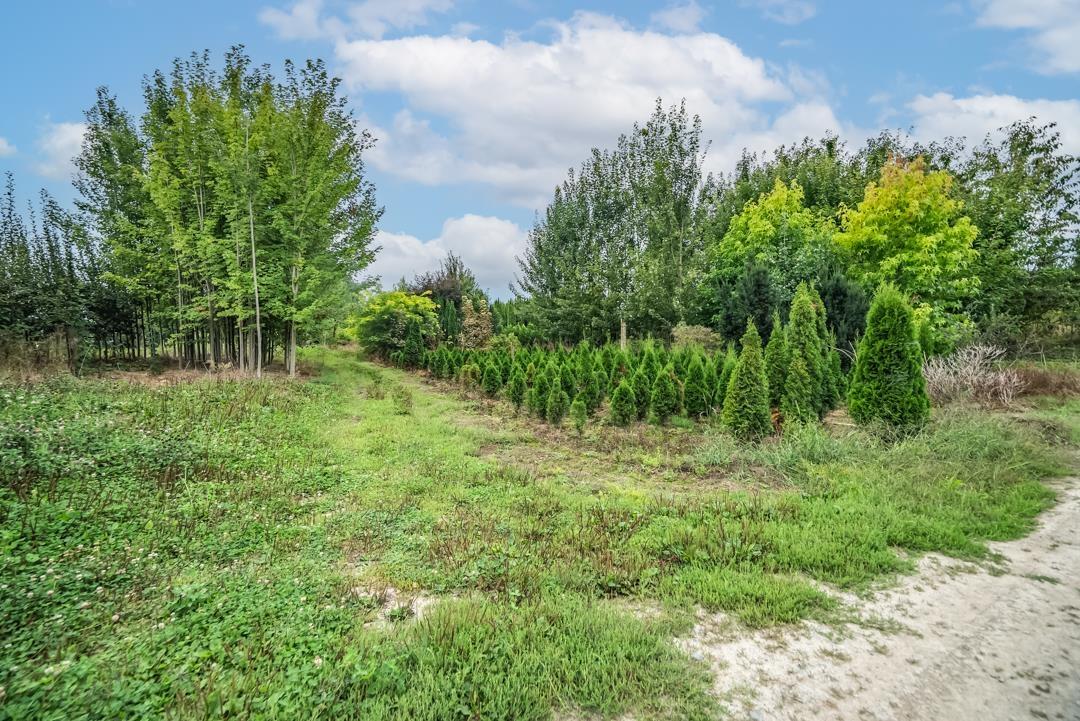 6655 Beharrell Road, Abbotsford, British Columbia  V3G 1P1 - Photo 24 - R3105218