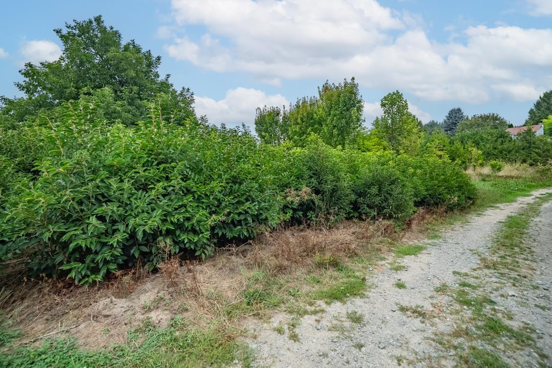 6655 Beharrell Road, Abbotsford, British Columbia  V3G 1P1 - Photo 25 - R3105218