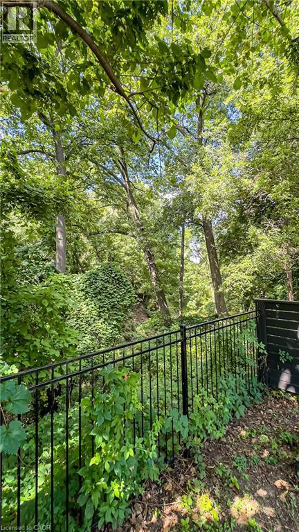 3 Oakwood Place, Hamilton, Ontario  L8S 4C9 - Photo 41 - 40806168