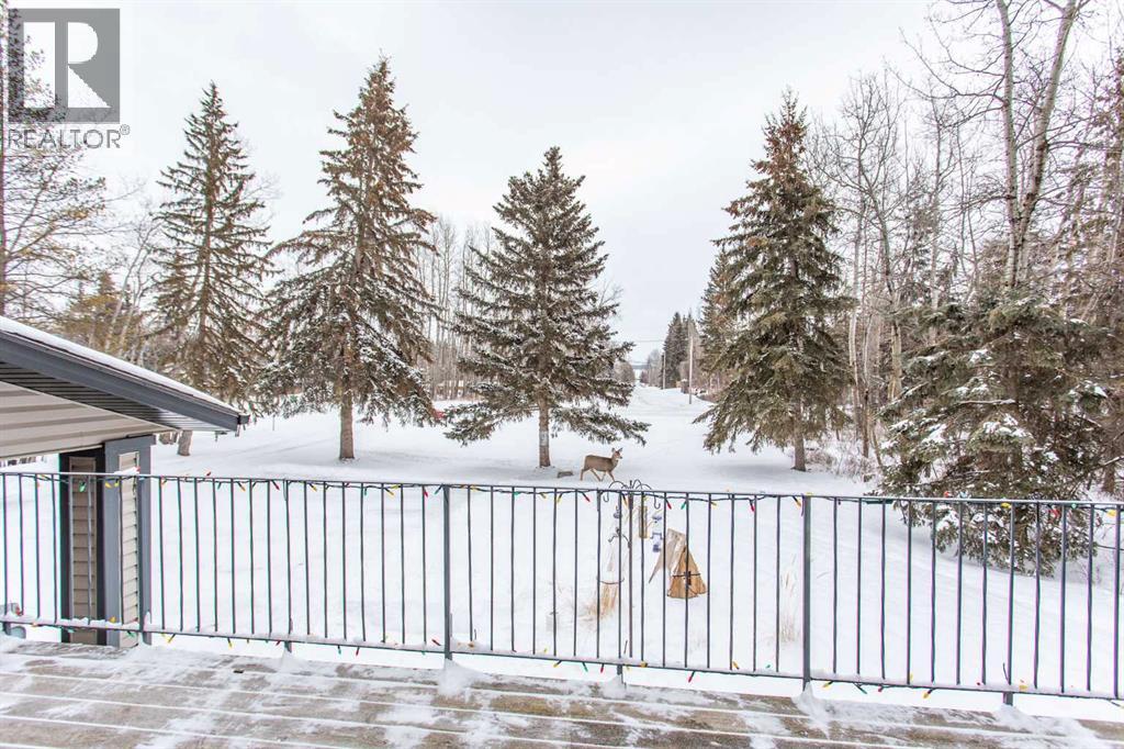 14 Parkland Crescent, Parkland Beach, Alberta  T0C 2J0 - Photo 46 - A2288829