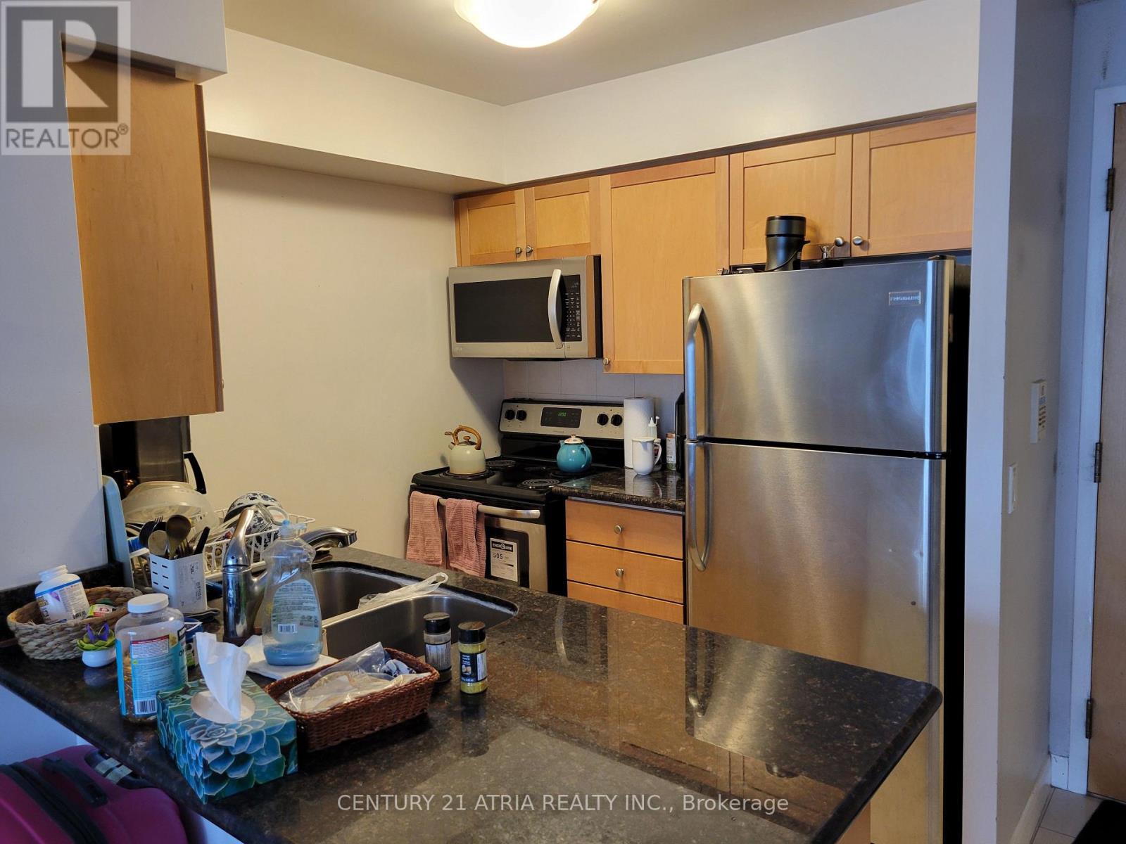 3509 - 4978 Yonge Street, Toronto, Ontario  M2N 7G8 - Photo 10 - C12941850