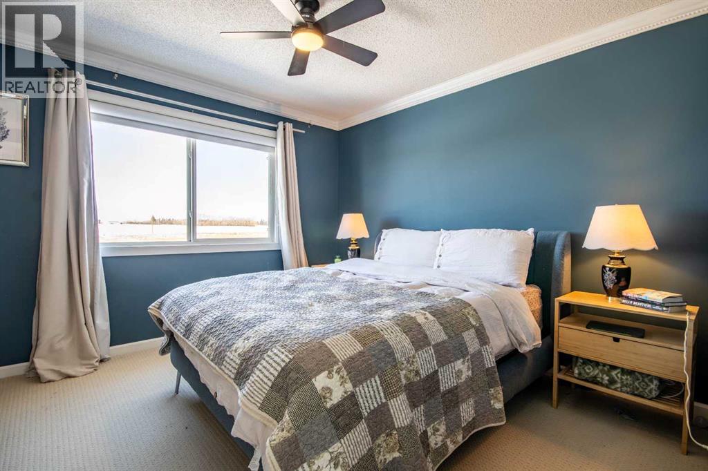 203 Clover Way, Carstairs, Alberta  T0M 0N0 - Photo 14 - A2292899
