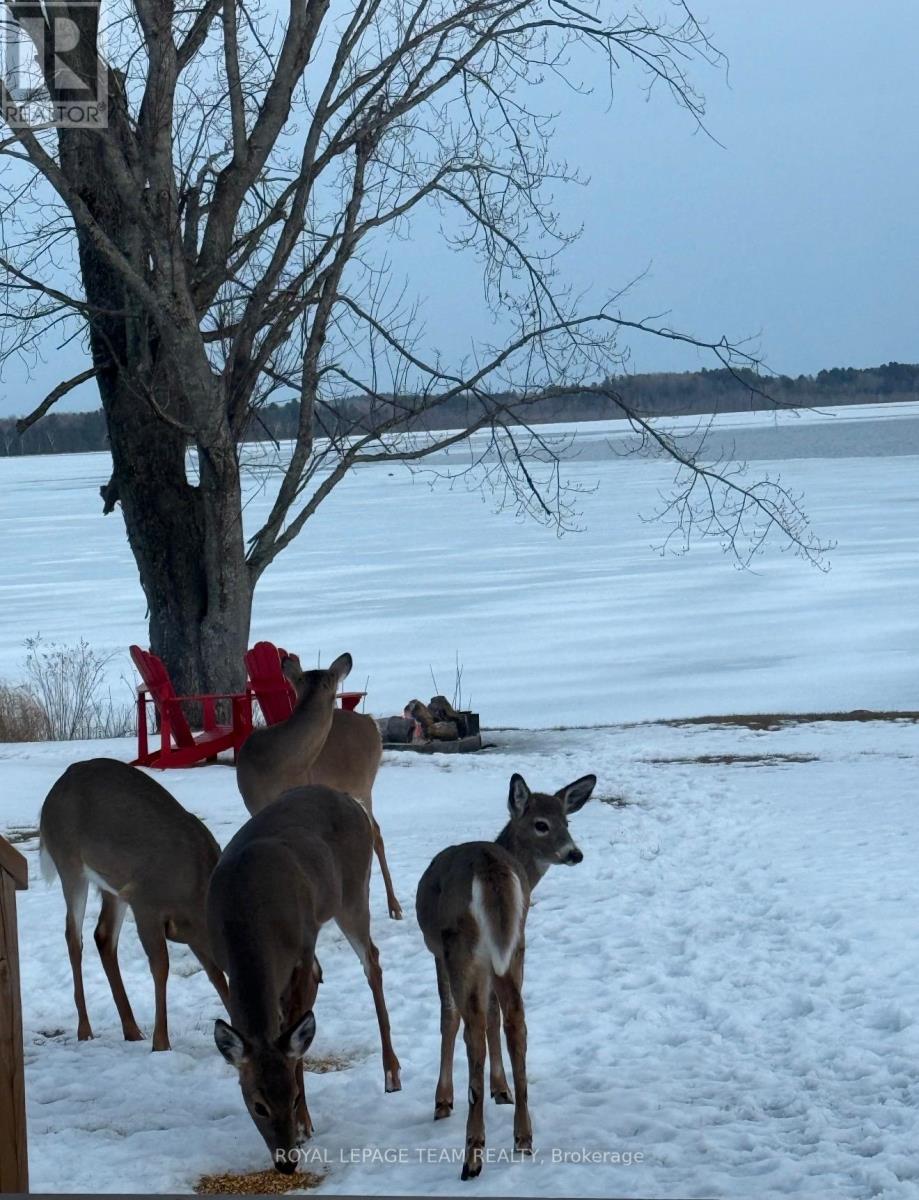 39 Columbine Lane, North Algona Wilberforce, Ontario  K0J 1T0 - Photo 10 - X12941928