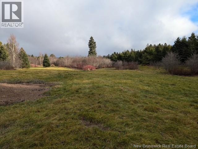 Lot 1 Gray Road, Penobsquis, New Brunswick  E4Z 3C2 - Photo 5 - NB134485