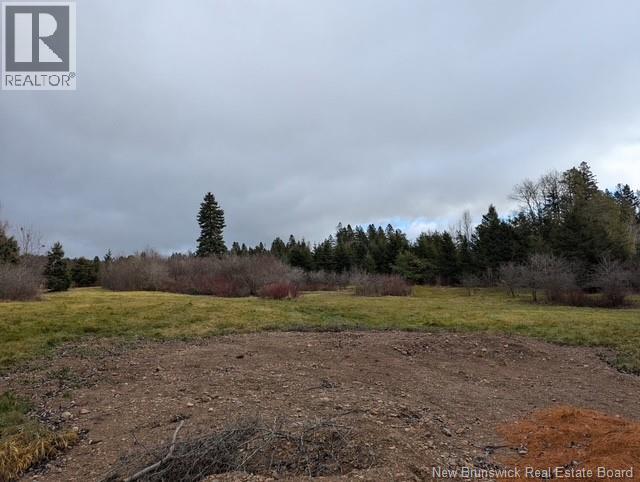 Lot 1 Gray Road, Penobsquis, New Brunswick  E4Z 3C2 - Photo 7 - NB134485